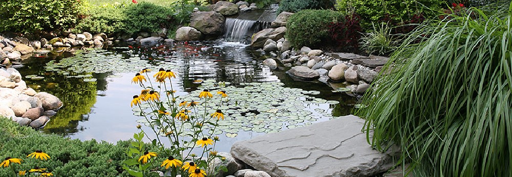Gartenteich mit Seerosen und Blumen